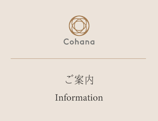 Internet Explorerのご使用に関して