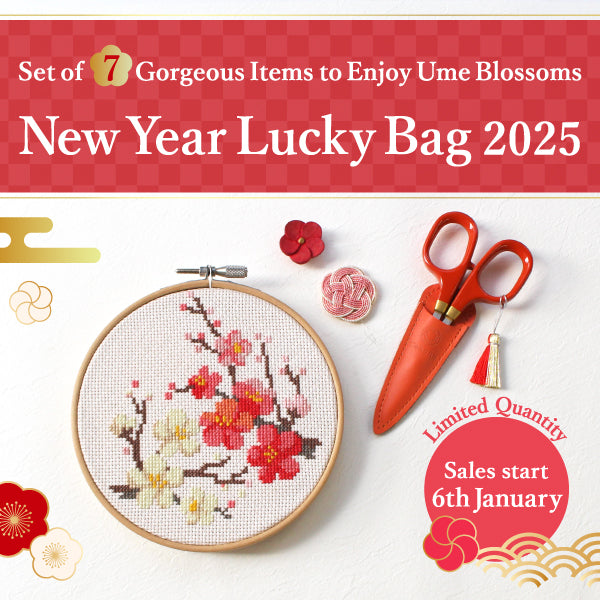 New Year Lucky Bag 2025