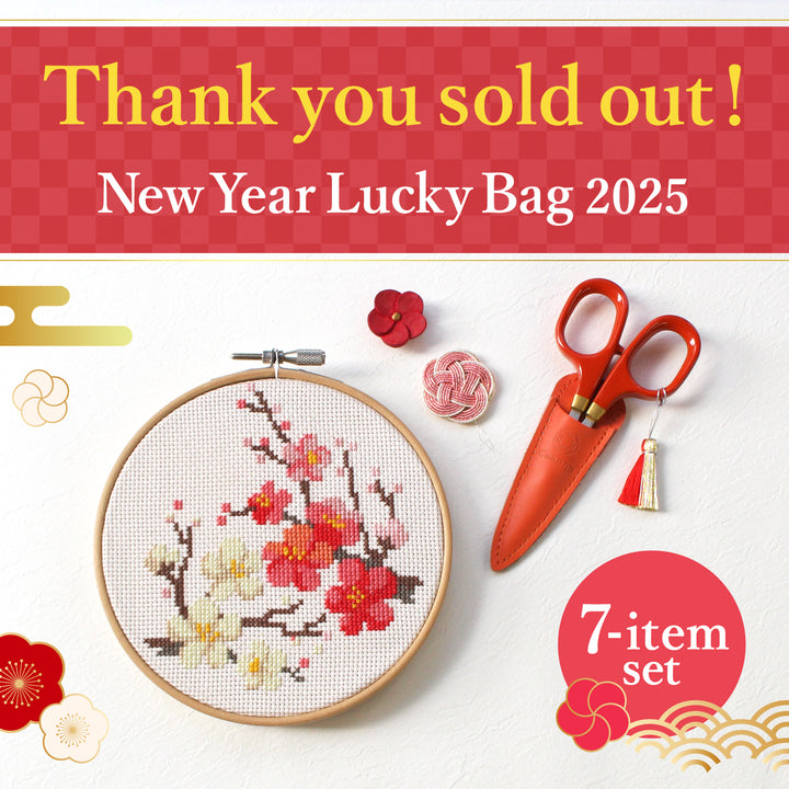 New Year Lucky Bag 2025