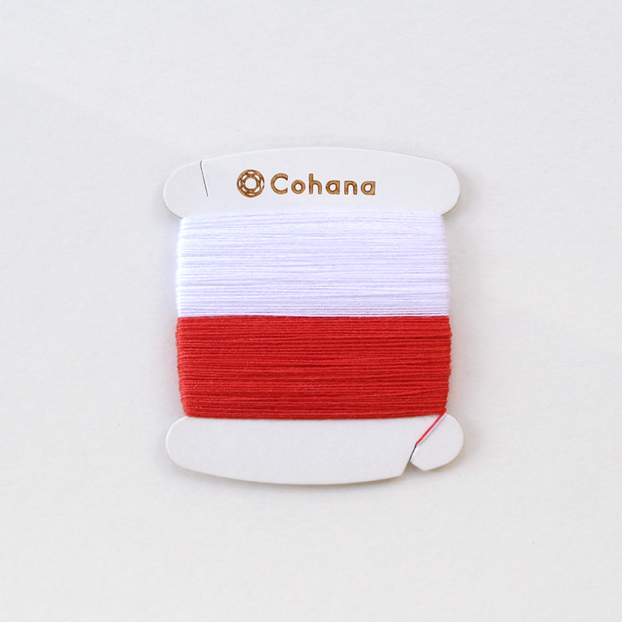 [Pre-order A: Estimated Arrival in Late-January] Lucky Bag 2026 – Saku